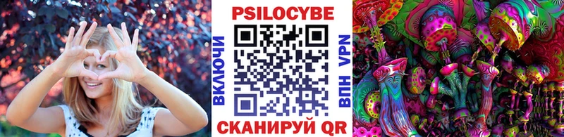 Псилоцибиновые грибы Psilocybe  Краснодар 